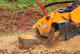 How Our Tree Care Process Works  in  Auburn, KY